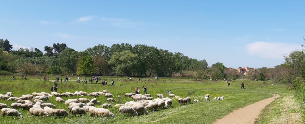 Fig. 15. Anello verde, Parco dell’Aniene, spazi e usi, coabitazioni e attività.