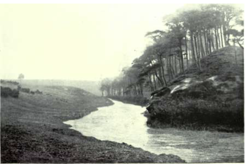Fig. 1. Piano per Dunfermline. Il ruscello con una riva ricoperta da pini scozzesi di fronte al campo da golf. In questo punto il ruscello è ampliato e le rive saranno piantumate.